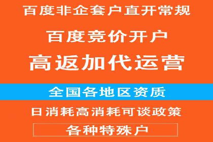 精准投放，高效转化：关键词竞价排名案例解析